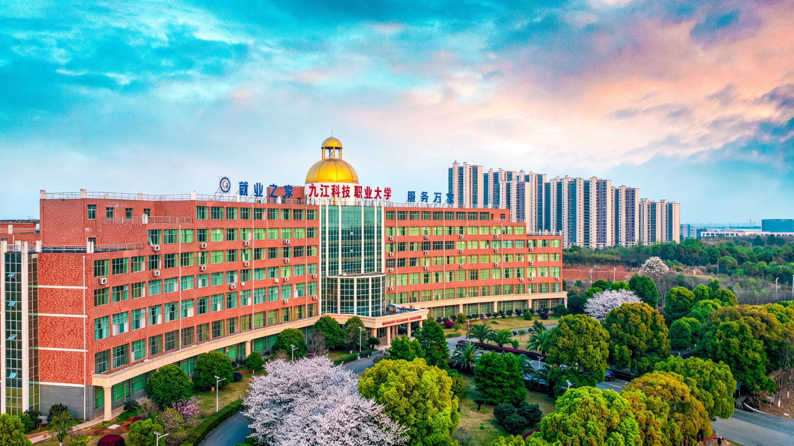 九综.jpg