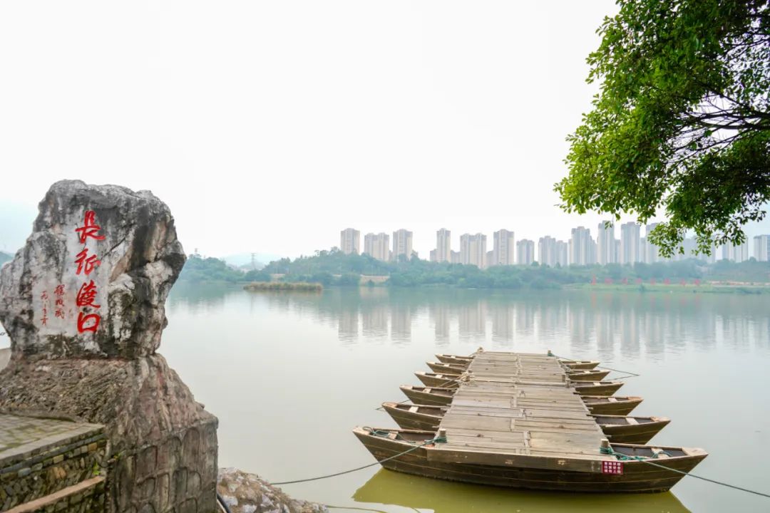 1684220384923964.jpg 1684220384923964.jpg