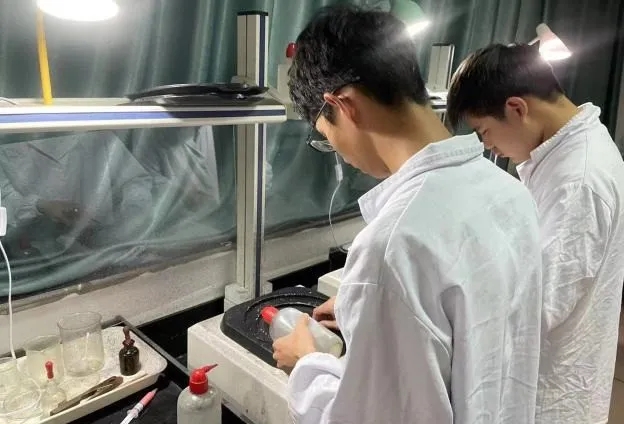 1713401265702922.jpg 1713401265702922.jpg